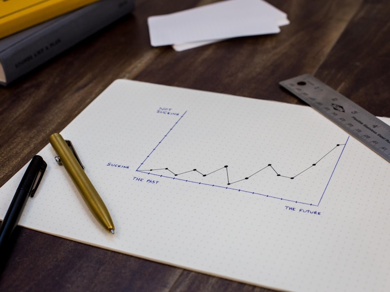 An adviser reviewing an investment plan with a client.